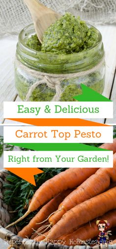 carrots and pesto in a jar with text overlay that reads easy & delicious carrot top pesto right from your garden