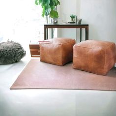 two brown leather ottomans sitting on top of a rug next to a table with a potted plant