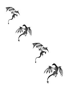 three black and white dragon drawings flying in the sky