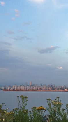 the city is in the distance and there are many flowers growing on the grass by the water