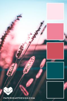 pink and blue color palette with grass in the foreground, text overlay reads paperheaddesign com