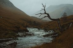 a small stream running through a lush green mountain valley next to a dry grass covered hillside