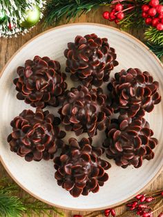 chocolate covered pine cones on a white plate