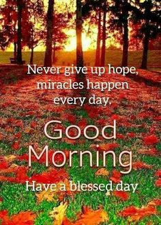 Good Morning Jesus Images, Good Morning Jesus, English Greetings, Good Morning Quotes Friendship, Good Morning Rose Images, Morning Tuesday, Good Morning Massage, Good Morning Dear Friend