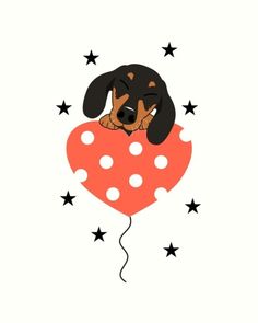 a black and brown dog laying on top of a red heart with stars around it