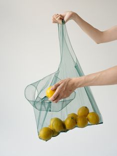 a person holding a bag filled with lemons