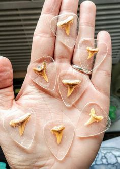 a hand holding five small pieces of glass with gold foil on them, and some are shaped like toothpicks