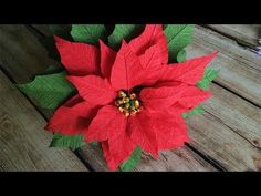 a red poinsettia with green leaves on it's head sitting on a wooden table