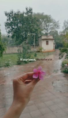 a hand holding a pink flower in front of a brick walkway with the words at your lowest, you really read a lot