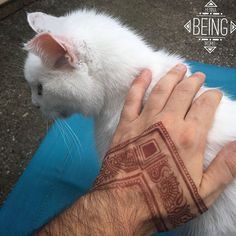 a white cat being held by someone's hand with henna tattoos on it