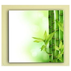 a bamboo plant with green leaves in front of a white background that is blurry