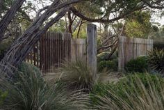 the fence is surrounded by tall grass and trees