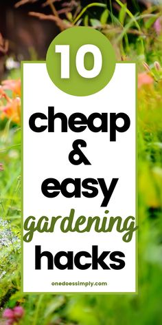 the words 10 cheap and easy gardening hacks