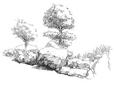 an ink drawing of rocks and trees