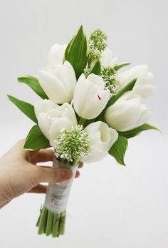 a hand holding a bouquet of white tulips and greenery on a white background