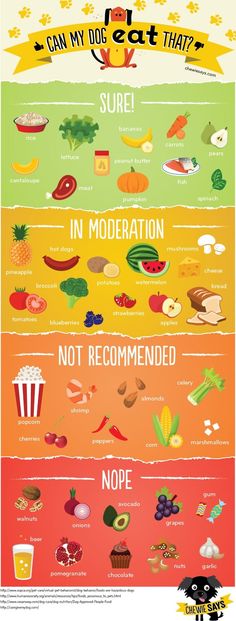 a poster with different types of food on it