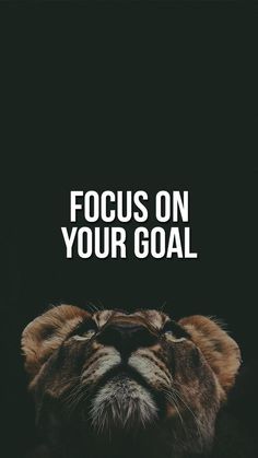 a lion's face with the words focus on your goal in white text over it