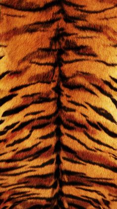 an animal print pattern is shown in brown and black colors on the skin of a tiger