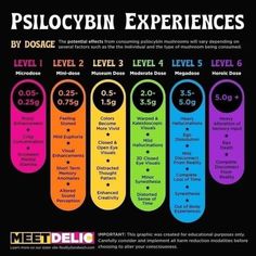 Mushroom Medicine, Psilocybin Mushrooms, Psycilobin Mushrooms, Shroom Trip Intentions, Growing Psylocibin Mushrooms, Cannibis Recipes, Psychadelic Mushroom, Mushroom Benefits, Growing Mushrooms At Home