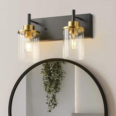 a bathroom mirror with two lights and a plant hanging from it's side in front of the mirror