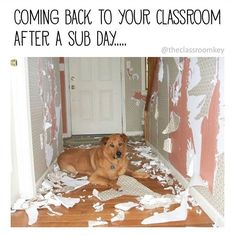 a dog laying on the floor in front of a door that has torn up paper all over it