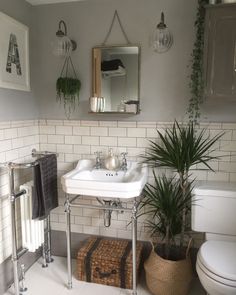 a bathroom with a toilet, sink and mirror in it's corner next to a potted plant