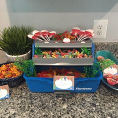 there are many different types of candy in the trays on this counter top, including candies and marshmallows