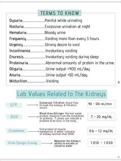 the lab rules related to the kidney system are shown in blue and white text, along with