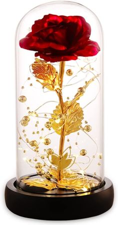 a red rose in a glass dome with gold flakes on the bottom and sides