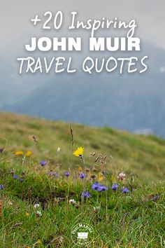 flowers and grass with the words, 20 inspirational john mur travel quotes