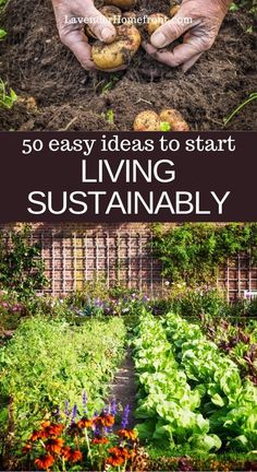 hands holding potatoes in a garden with text overlay that reads 50 easy ideas to start living