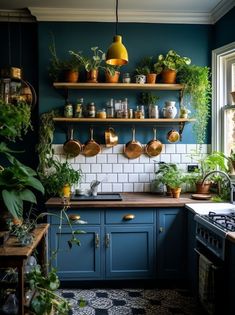 a kitchen filled with lots of potted plants and greenery on shelves above the stove