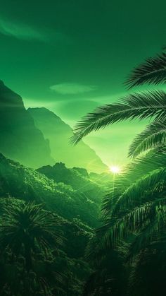 the sun shines brightly through some palm trees in this green jungle scene with mountains