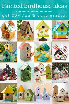 the cover of painted birdhouse ideas is shown in many different styles and colors, including one