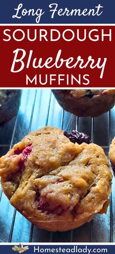 raspberry blueberry sourdough muffins on a bakers rack Sourdough Scones Overnight, Blueberry Sourdough Muffins, Sourdough Cakes, Blueberry Muffins From Scratch, Sourdough Blueberry Muffins, Blueberry Sourdough, Sourdough Blueberry, Overnight Sourdough, Sourdough Starters