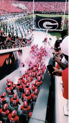 the football team is lined up on the sidelines to take their seats for the game