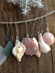 four seashells are hanging on a string