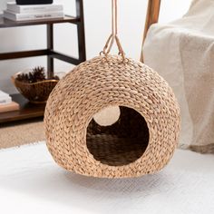 a cat bed hanging from the ceiling in a room with white carpet and wooden furniture