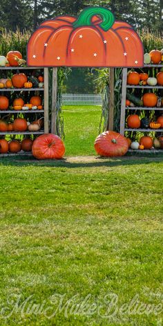 pumpkins and gourds are stacked on the back of a wooden stand in a field