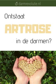 Wie het woord artrose hoort, denkt al snel aan pijnlijke gewrichten en ouderdom en niet aan darmbacteriën en voedingsvezels. Toch heeft artrose een hoop met de darmen en voeding te maken. Zo kan een gezond dieet de onomkeerbare schade van de gewrichten afremmen terwijl een ongezond dieet de artrose juist kan verergeren. #ontstekingen #gewrichten #artrose #darmbacteriën #voedingsvezels ontstekingen | gewrichten | artrose | darmbacteriën | voedingsvezels Dandelion Root Benefits, 28 Dae Dieet Plan, How To Harvest Dandelion Root, Benefits Of Dandelion Root, Nature Deficit Disorder, Gut Health, Feel Good, Health, Feelings