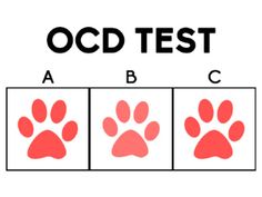 an image of a dog's paw with the words ocd test above it