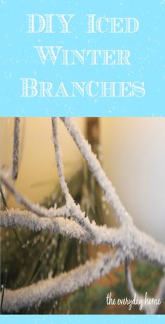 the words diy iced winter branches are shown