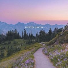 a path leading to the top of a mountain with trees and flowers on it that says trust the process