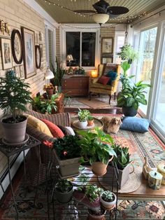 a living room filled with lots of potted plants