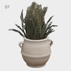 a plant in a white vase with the number seven on it's side and an image of a fern