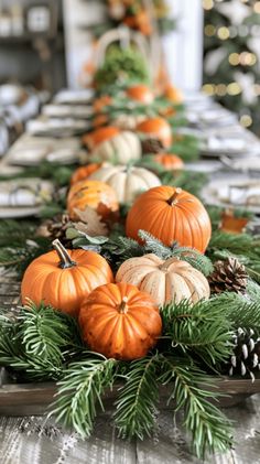 a long table topped with lots of pumpkins and pine cones