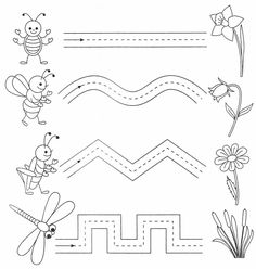 an insect maze is shown in this coloring page