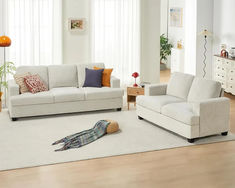 a living room with two couches, a chair and a bird on the floor