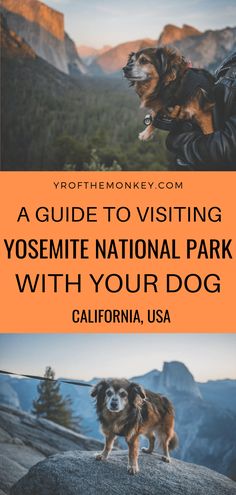 a guide to visiting yosemite national park with your dog