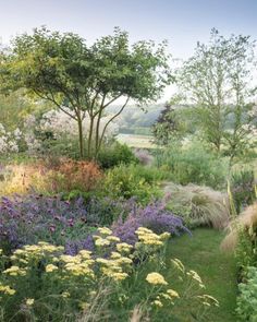 a garden filled with lots of different types of flowers